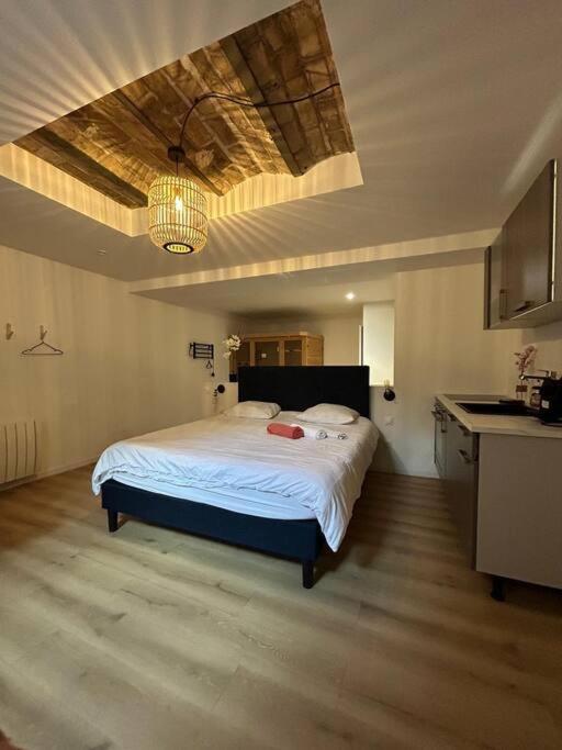 Cellar- Appartement Sous-Sol Atypique Reims Bagian luar foto