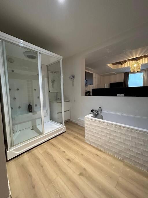 Cellar- Appartement Sous-Sol Atypique Reims Bagian luar foto
