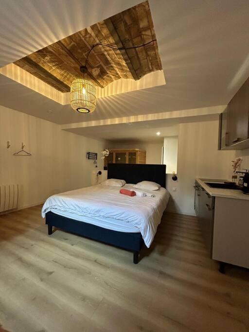 Cellar- Appartement Sous-Sol Atypique Reims Bagian luar foto